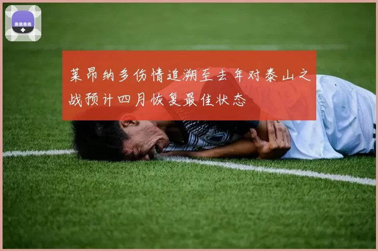 莱昂纳多伤情追溯至去年对泰山之战预计四月恢复最佳状态