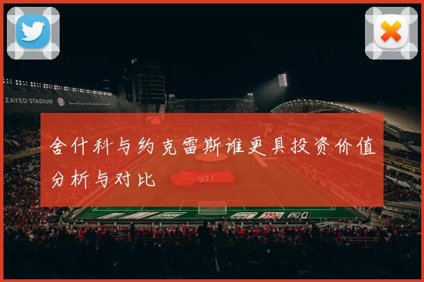 舍什科与约克雷斯谁更具投资价值分析与对比