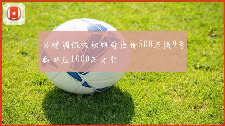 怀特调侃武切维奇出价500万换9号我回应1000万才行
